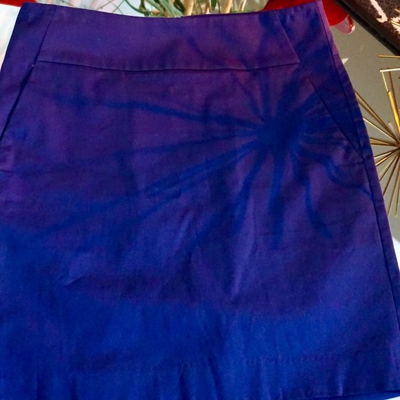 ANN TAYLOR BLUE SKIRT ,SIZE 0  (PREOWNED) - Picture 2 of 3